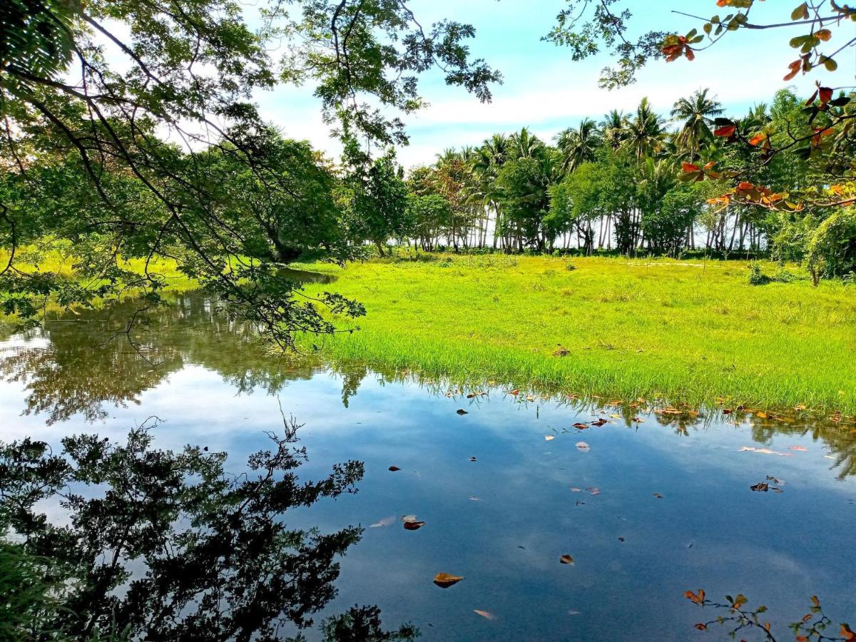 Villa Eliza Ecofarm Tibiao Exterior photo