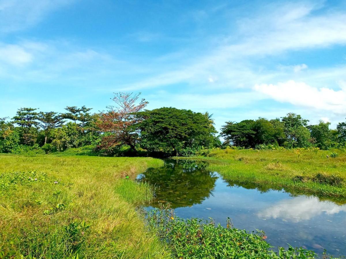 Villa Eliza Ecofarm Tibiao Exterior photo